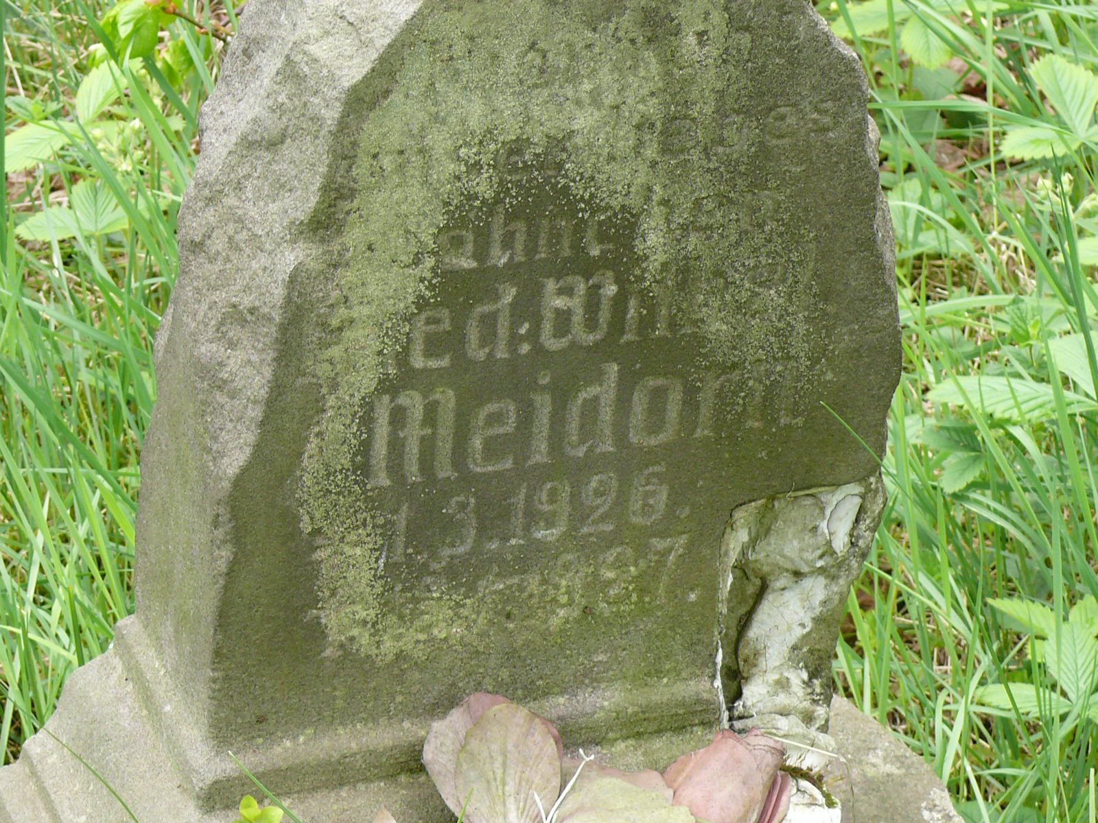 Wilhel Meidorn 1926 Czarny Bór - Grobonet - Wyszukiwarka osób pochowanych