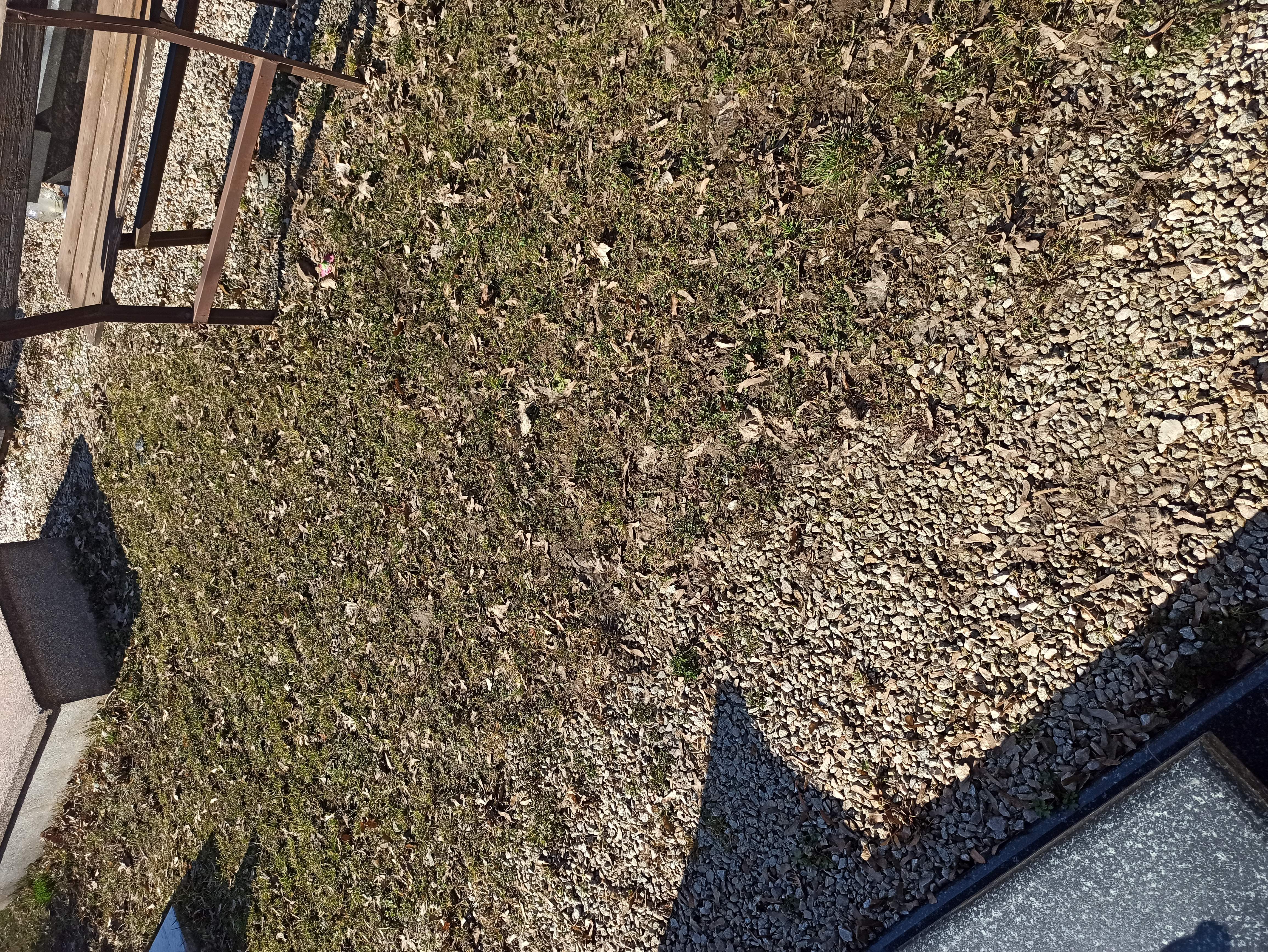 Grób Stanisław Nowosielecki